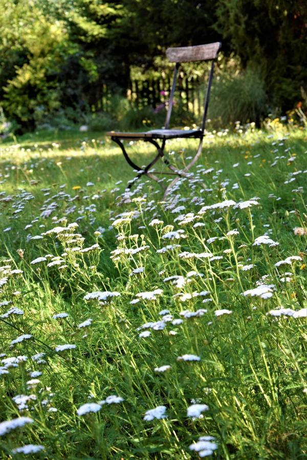 Dolina Wardynki Homestay *