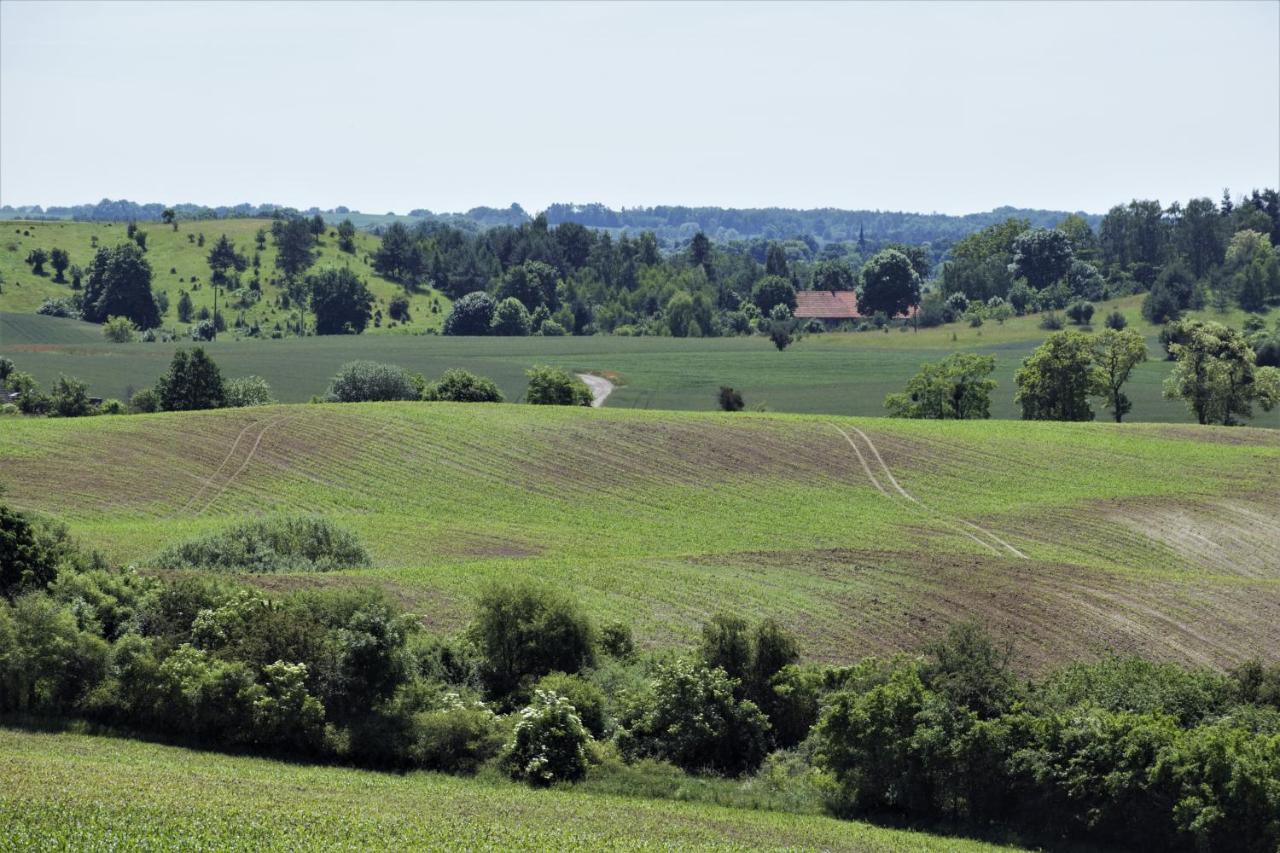 Dolina Wardynki Homestay *