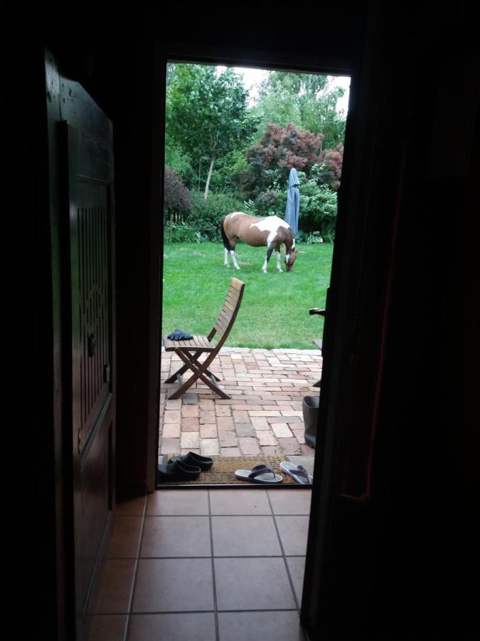 Homestay Dolina Wardynki *