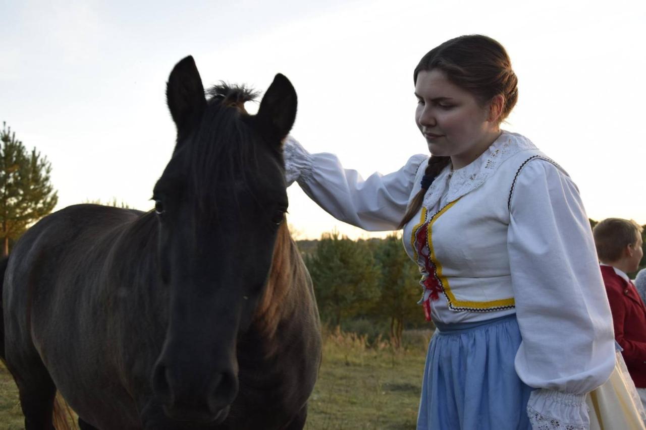 Dolina Wardynki * Suliszewo