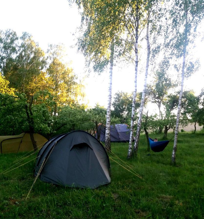 Homestay Dolina Wardynki *